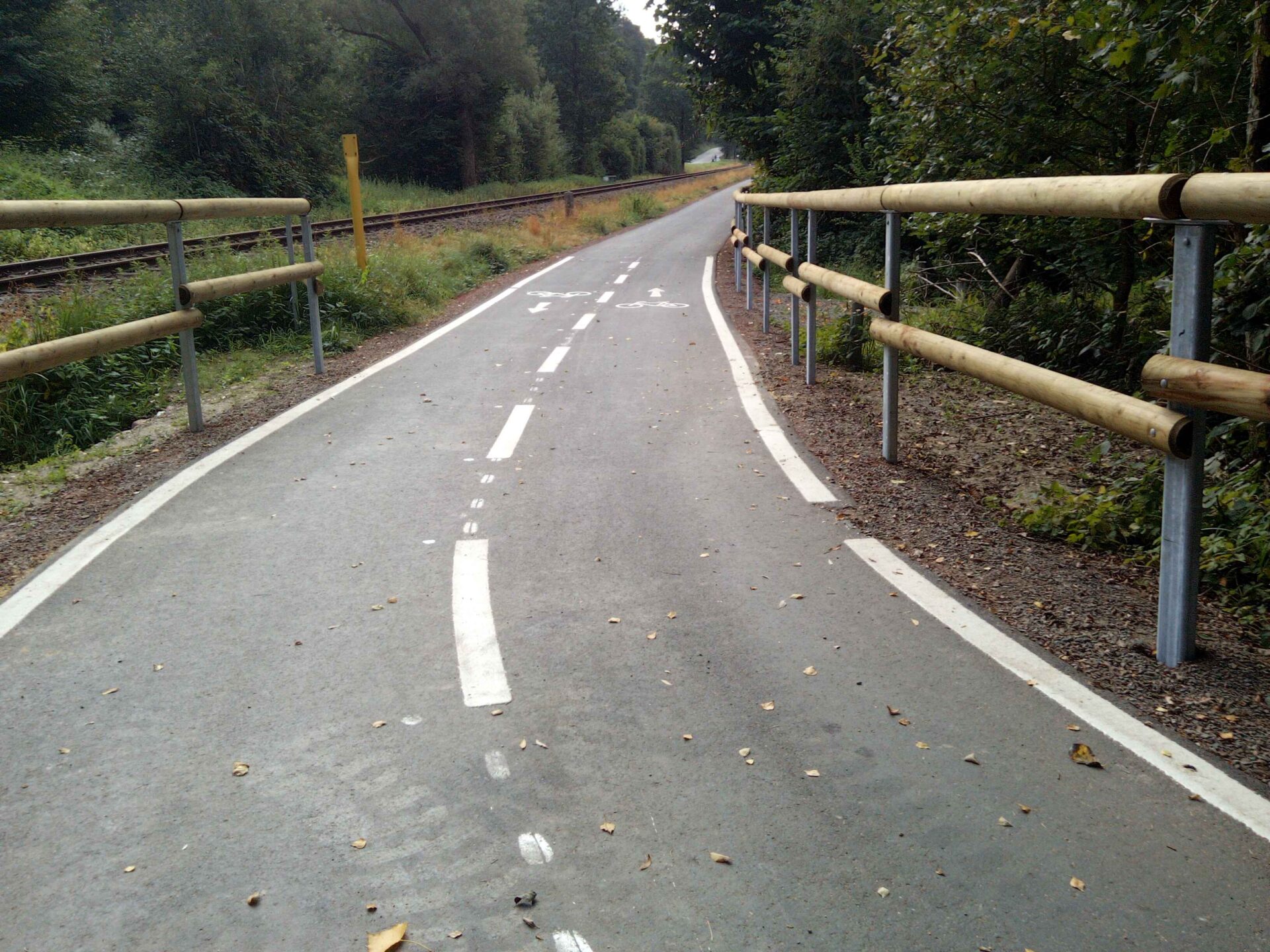 Abbruch und Wiederherstellung der Asphaltdecke am Bahnübergang BÜ55 – LBM Worms