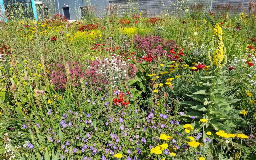 Industriestandort – Schnelldorf (Bayern)