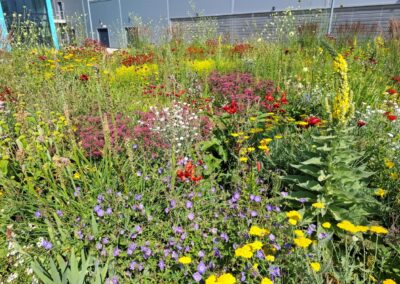 Industriestandort – Schnelldorf (Bayern)