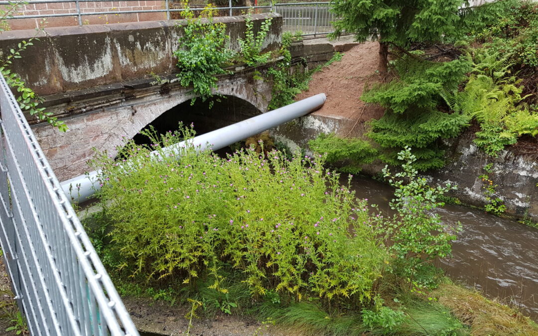 Instandsetzung Brückenbauwerk Spangenbergstraße – Erfenstein