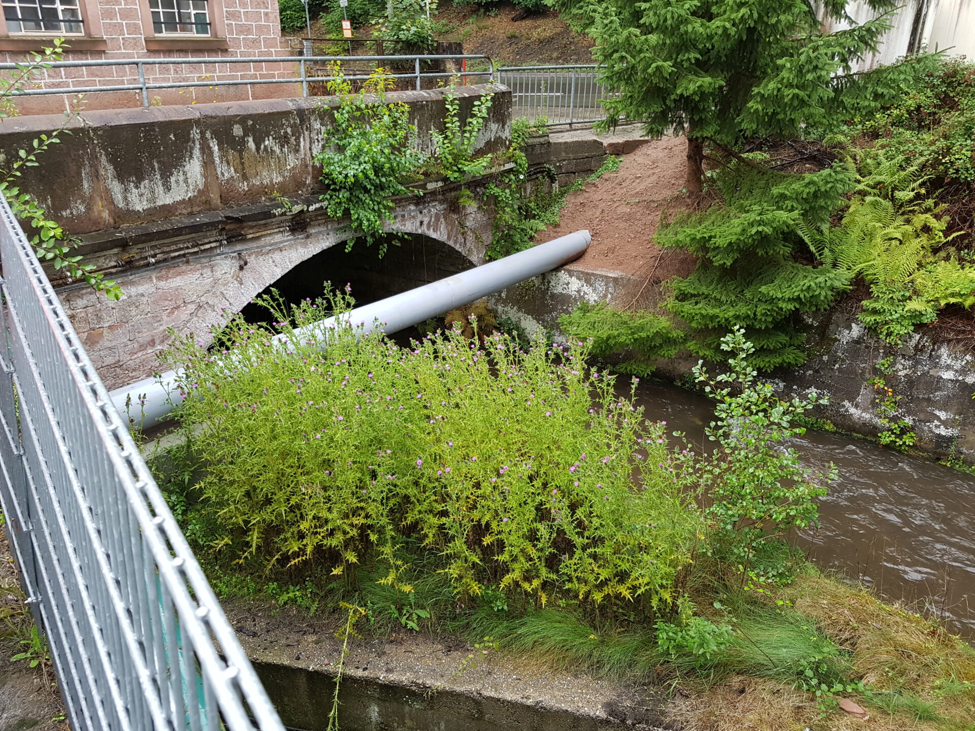 Abbruch und Wiederherstellung der Asphaltdecke am Bahnübergang BÜ55 – LBM Worms